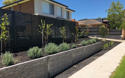 62185641_372354493406692_3799195810818686976_n